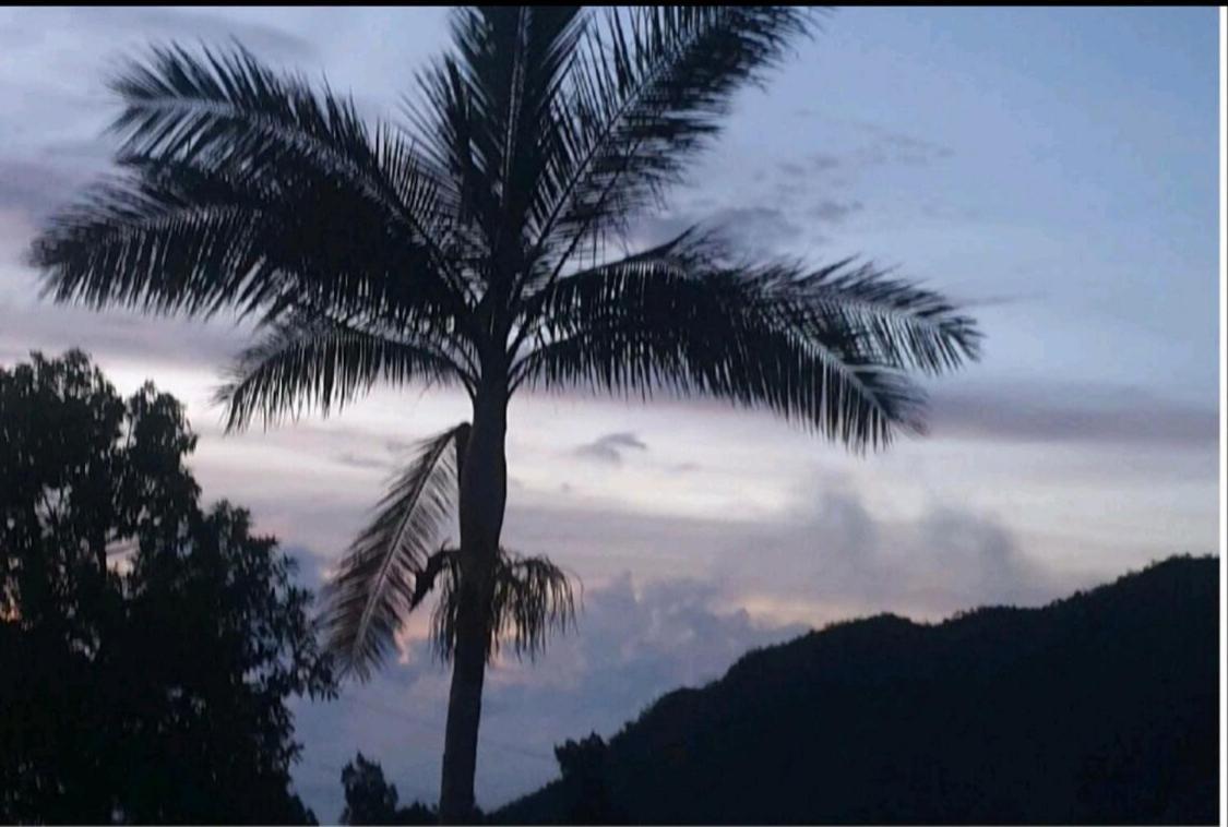ラ・ポッスシオン Au Coeur Des Plantationsゲストハウス エクステリア 写真
