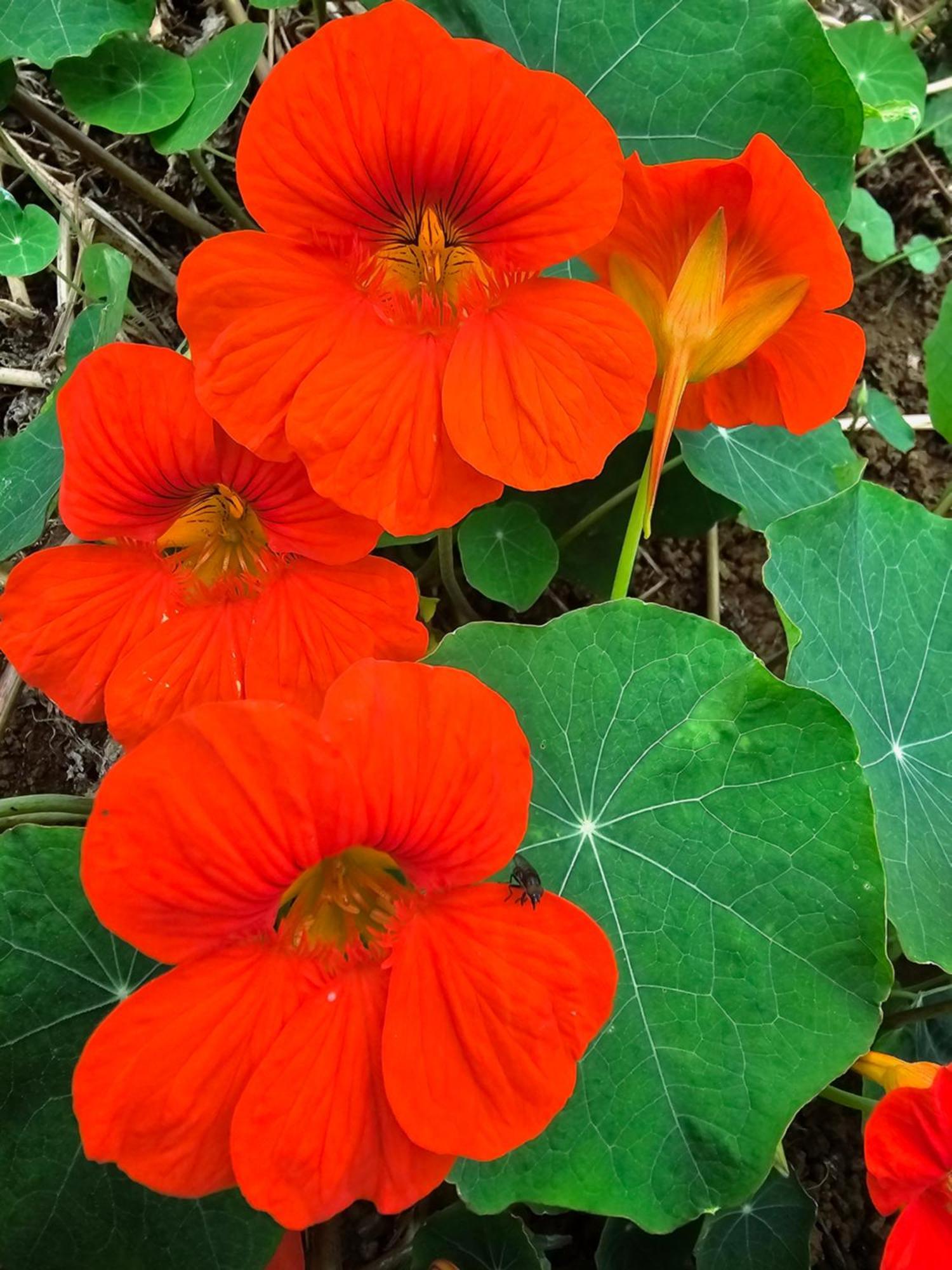 ラ・ポッスシオン Au Coeur Des Plantationsゲストハウス エクステリア 写真